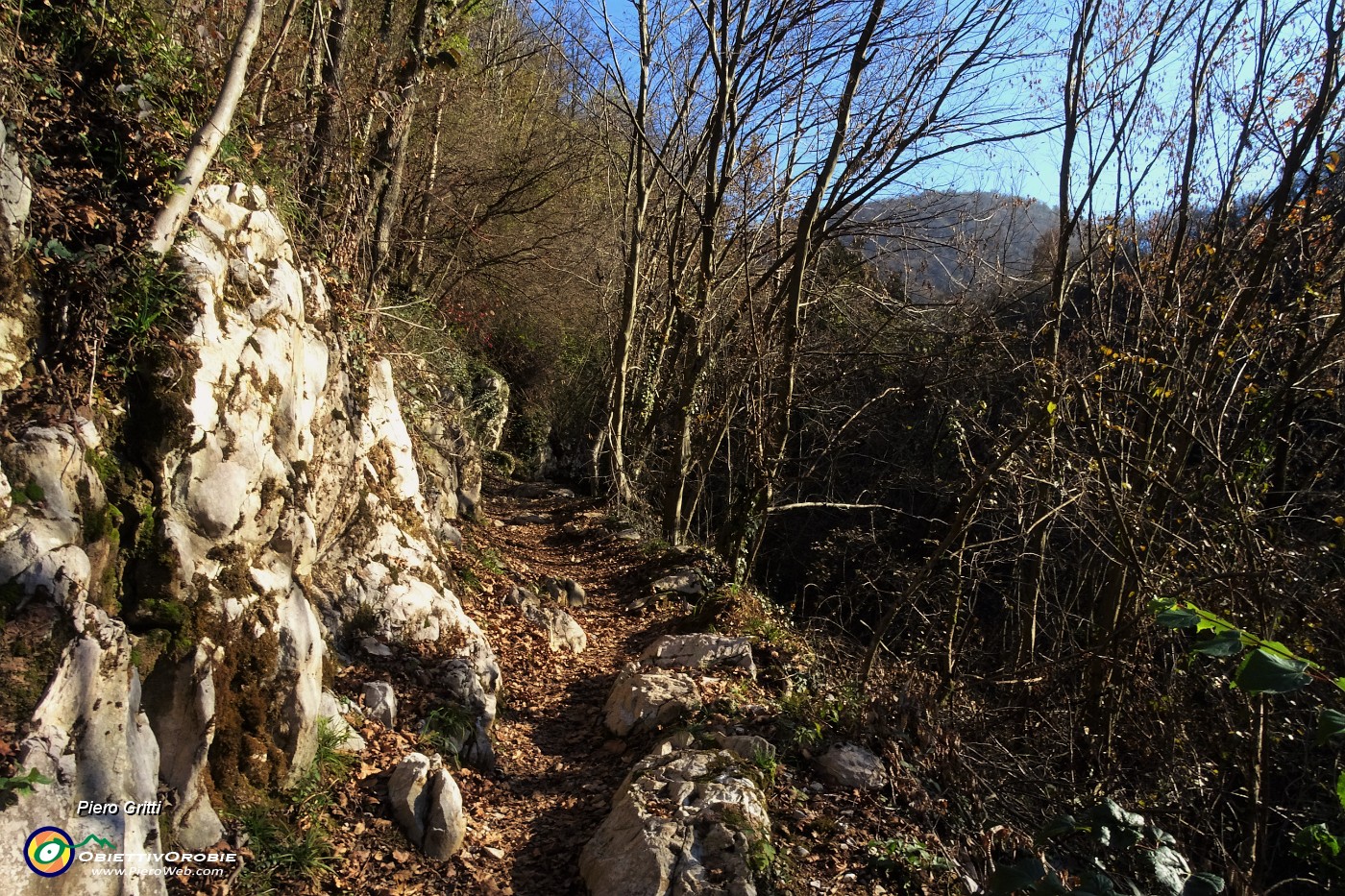 14 Affioramenti di rocce calcaree, di colore bianco e rosato.JPG